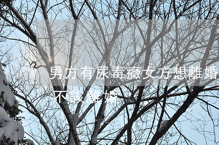 男方有尿毒癥女方想離婚(老公得了尿毒癥該不該離婚)