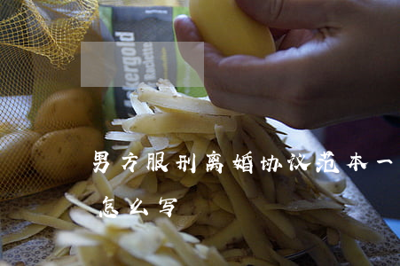 男方服刑离婚协议范本(一方服刑离婚协议书怎么写)