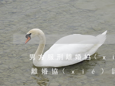 男方服刑離婚協(xié)議范本(一方服刑離婚協(xié)議書怎么寫)
