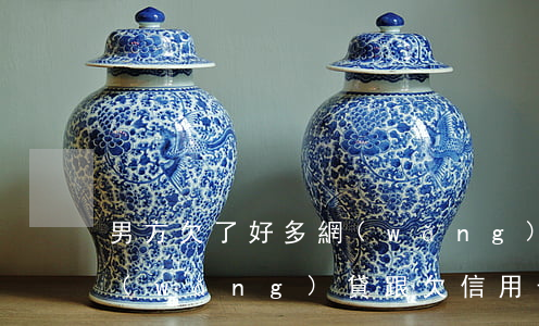 男方欠了好多網(wǎng)貸信用卡(欠網(wǎng)貸跟欠信用卡哪個可怕)