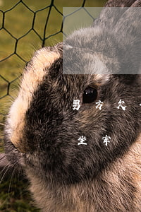 男方欠信用卡好多萬 男方欠信用卡好多萬會坐牢嗎