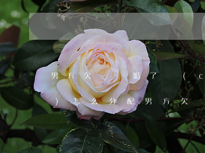 男方欠債離婚了財(cái)產(chǎn)怎么分配(男方欠債離婚債務(wù)如何分擔(dān))