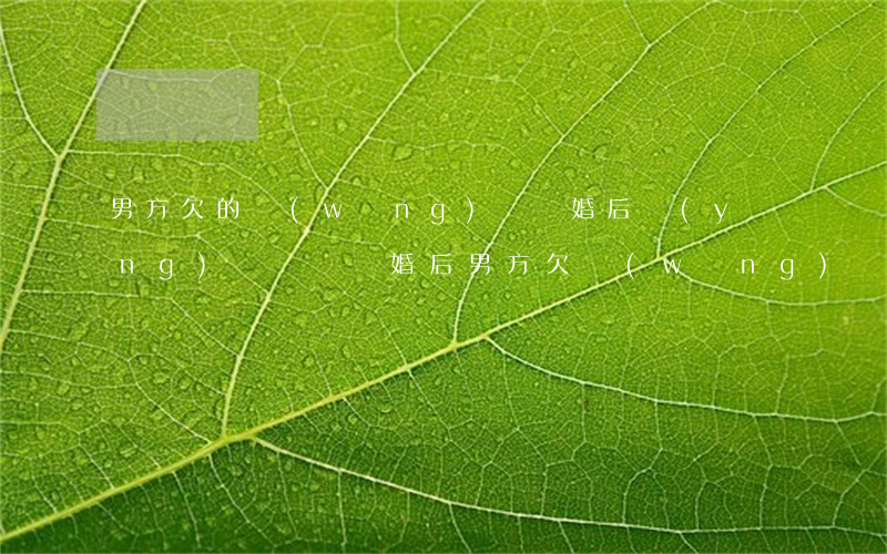 男方欠的網(wǎng)貸離婚后應(yīng)該誰還(離婚后男方欠網(wǎng)貸女方有關(guān)系)