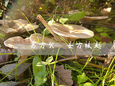男方欠錢女方被起訴(男方欠款,女方要離婚)