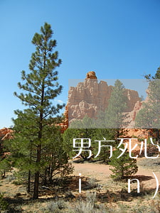 男方死心了如何讓女方離婚(如果男方堅(jiān)決不離婚,女方怎么辦?)