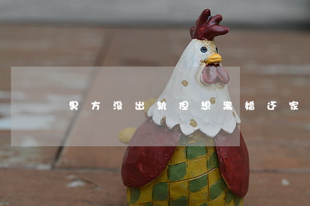 男方没出轨但想离婚还家暴怎么办