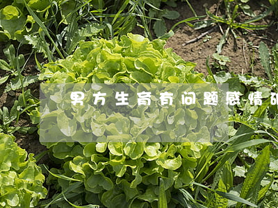 男方生育有问题感情破裂怎么离婚
