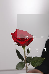 男方生育遺傳病幾率大起訴離婚可以判離嘛(男方生育遺傳病幾率大起訴離婚可以判離嘛)