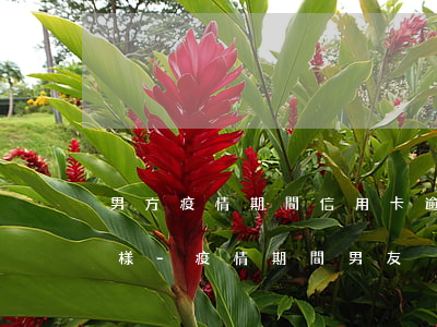 男方疫情期間信用卡逾期會(huì)怎么樣-疫情期間男友