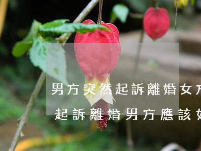 男方突然起訴離婚女方怎么應對(女方單方面起訴離婚,男方應該如何應對?)