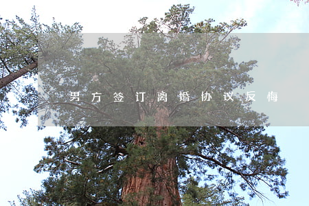 男方签订离婚协议反悔