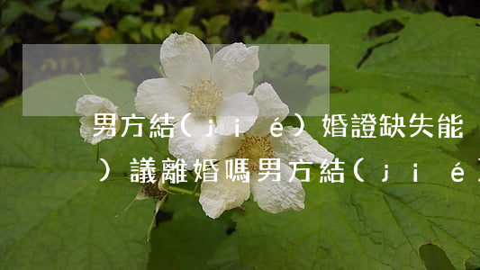 男方結(jié)婚證缺失能夠協(xié)議離婚嗎(男方結(jié)婚證缺失能夠協(xié)議離婚嗎)