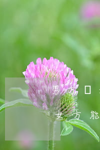 男方繼承父母的房產(chǎn)如果離婚女方能分得嗎