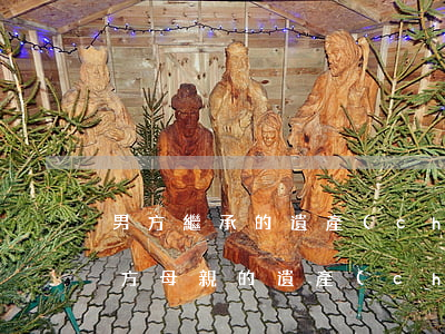男方繼承的遺產(chǎn)女方有份嗎(男方母親的遺產(chǎn),兒子的配偶能繼承嗎)