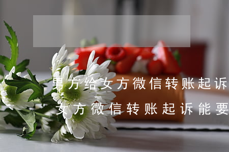 男方给女方微信转账起诉能要回吗-男方给女方微信转账起诉能要回吗知乎