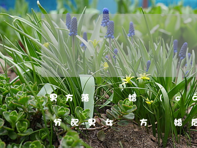 男方落戶離婚財(cái)產(chǎn)分配(男女雙方離婚后財(cái)產(chǎn)怎么分配)
