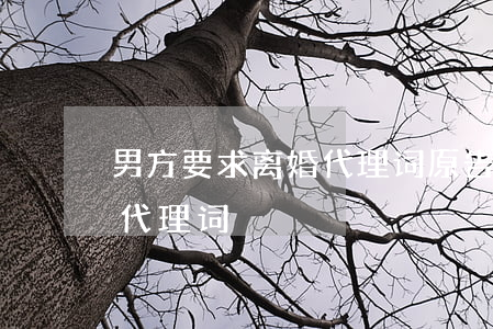 男方要求离婚代理词(原告女方坚决要求离婚代理词)