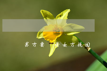男方要離婚女方挽回