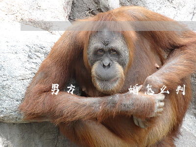 男方訴訟離婚怎么判決