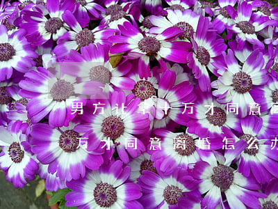 男方让拿十万才同意离婚怎么办(男方让拿十万才同意离婚怎么办)
