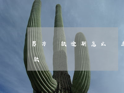 男方貸款逾期怎么買房(貸款買房有逾期能貸款嗎?)