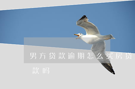 男方贷款逾期怎么买房(贷款买房有逾期能贷款吗?)