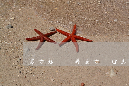 男方起訴離婚女方戶口怎么辦