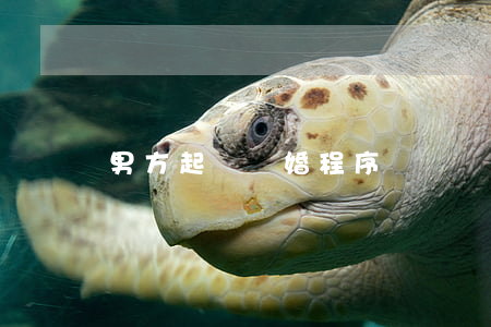 男方起訴離婚程序