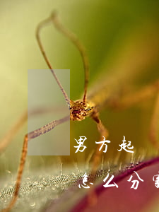 男方起訴離婚財(cái)產(chǎn)怎么分割(夫妻起訴離婚婚后財(cái)產(chǎn)怎么分)
