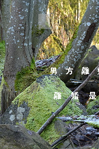 男方離婚后怎樣查有無兒女(怎么查對方是否離婚,是否有孩子)