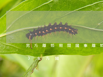 男方離婚期間鬧事(離婚男方一直來(lái)女方鬧)