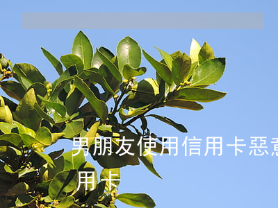 男朋友使用信用卡惡意透支(惡意透支別人信用卡)