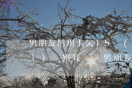 男朋友信用卡欠15萬(wàn)會(huì)連累我嗎-男朋友信用卡欠10多萬(wàn) 我該怎么辦