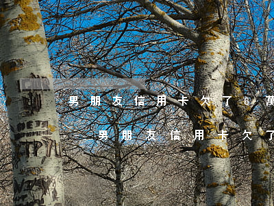 男朋友信用卡欠了6萬該結(jié)婚嗎-男朋友信用卡欠了6萬該結(jié)婚嗎怎么辦