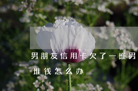 男朋友信用卡欠了一堆(男朋友信用卡欠了一堆钱怎么办)