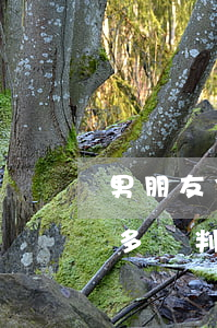 男朋友信用卡欠五萬多(男朋友信用卡欠五萬多會判刑嗎)