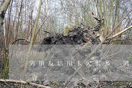 男朋友信用卡欠很多錢（男朋友信用卡欠八萬靠譜嗎）