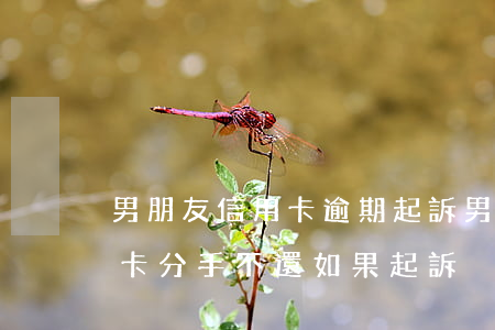 男朋友信用卡逾期起訴(男朋友使用我的信用卡分手不還如果起訴)