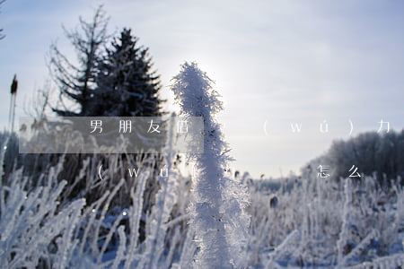 男朋友借錢無(wú)力償還(男朋友借錢無(wú)力償還怎么辦)