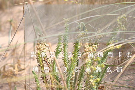 男朋友欠25萬信用卡要分手嗎-男朋友欠信用卡20萬怎么辦