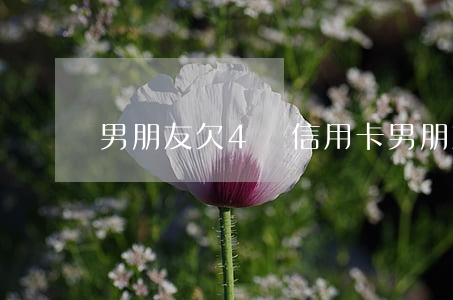 男朋友欠4萬信用卡(男朋友欠4萬信用卡)