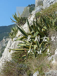 男朋友欠50万网贷怎么办(欠了网贷50万我该怎么办)