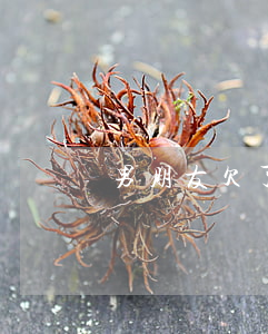 男朋友欠了5萬信用卡(男朋友信用卡欠了六萬)