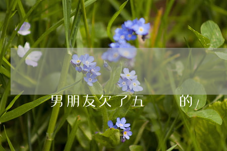 男朋友欠了五萬塊的網貸(網貸欠了5萬)
