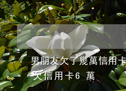 男朋友欠了幾萬信用卡還要在一起嗎（男朋友欠信用卡6萬）