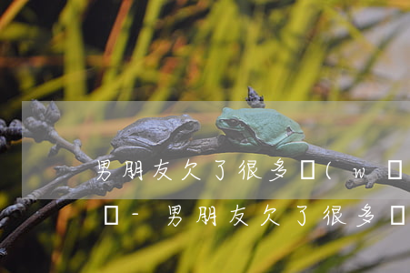男朋友欠了很多網(wǎng)貸怎么辦不還-男朋友欠了很多網(wǎng)貸怎么辦不還錢