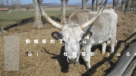 男朋友欠了網(wǎng)貸還能繼續(xù)還嗎(女朋友欠網(wǎng)貸男朋友要不要幫他還)
