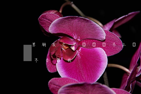 男朋友欠了網貸還不上瞞著我(男朋友欠網貸不告訴我)