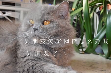 男朋友欠了网贷怎么办(我欠了网贷不想拖累男朋友了)