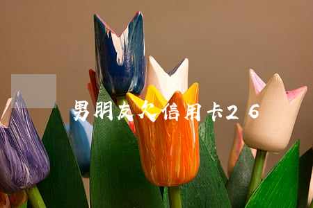 男朋友欠信用卡26萬